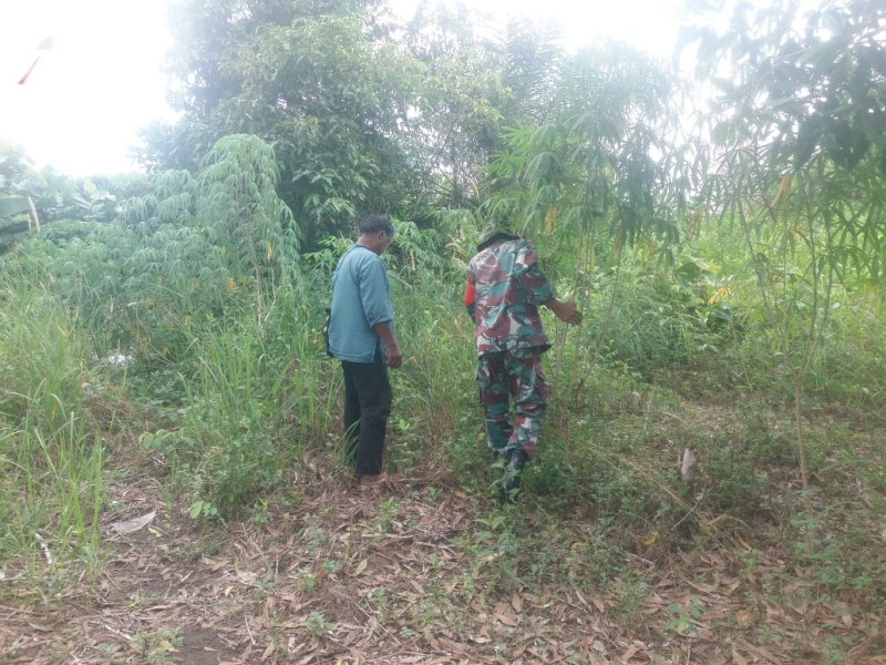 Sertu Nono Keliling Meninjau Wilayah Binaannya Guna Cegah Karhutla