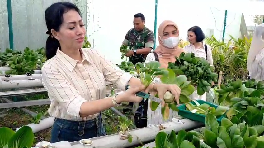 Dandim 0320/Dumai Ajak Masyarakat Manfaatkan Lahan untuk Tanaman Hidroponik