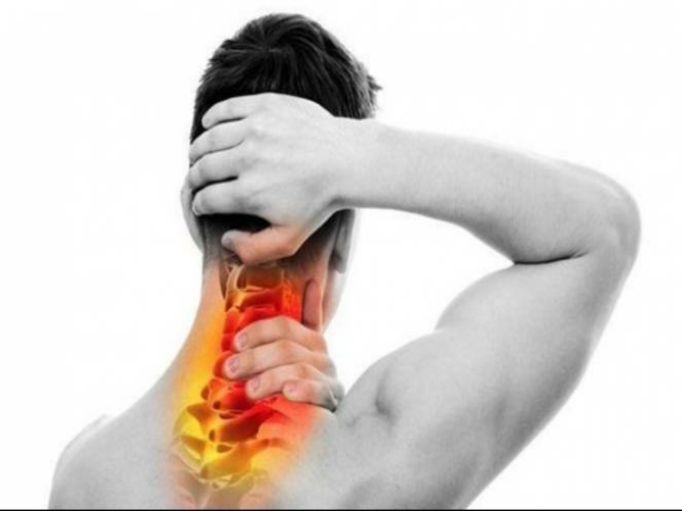 Perbedaan Asam Urat dan Kolesterol