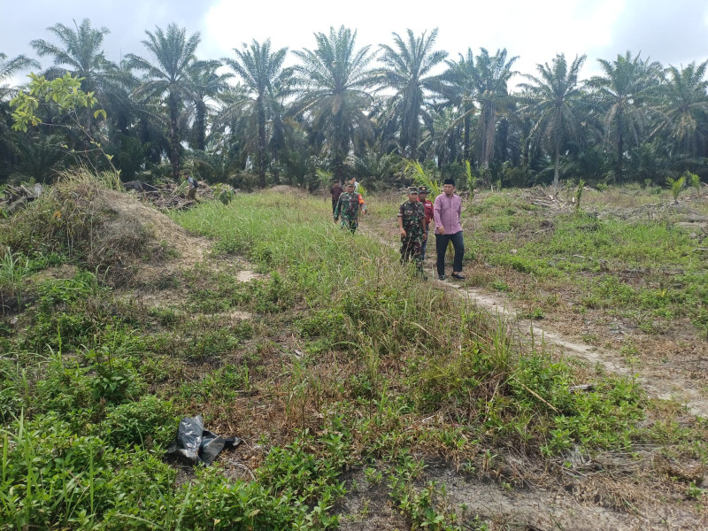 Danramil 02/BK Cek Kesiapan Lahan Untuk Ketahanan Pangan