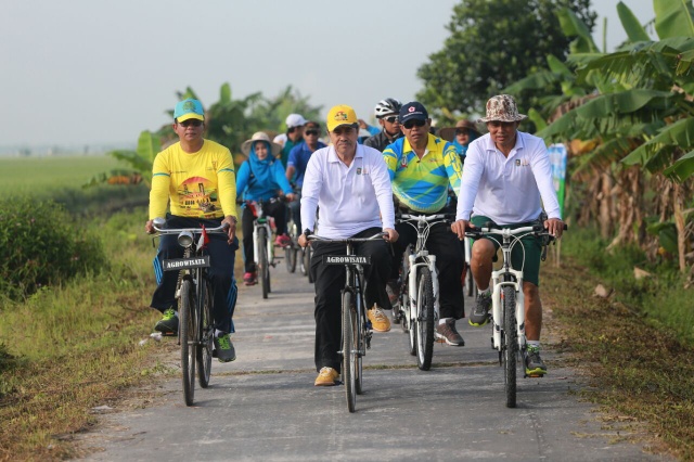 Pakai Sepeda Ontel, Syamsuar ikut TDS Bungaraya 2018. 