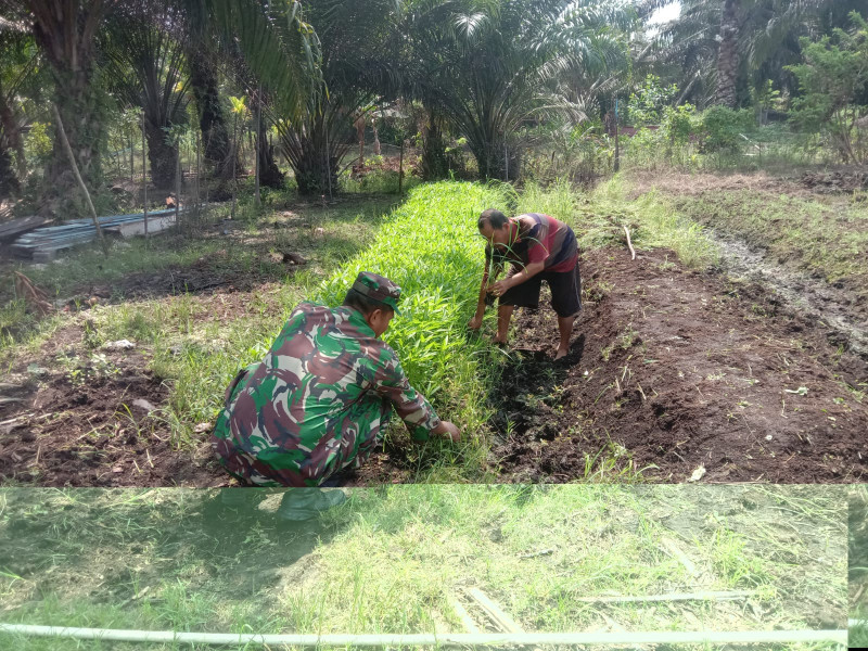 Serda Agustinus H. Berikan Dukungan Pada Perkebunan Kangkung dan Timun