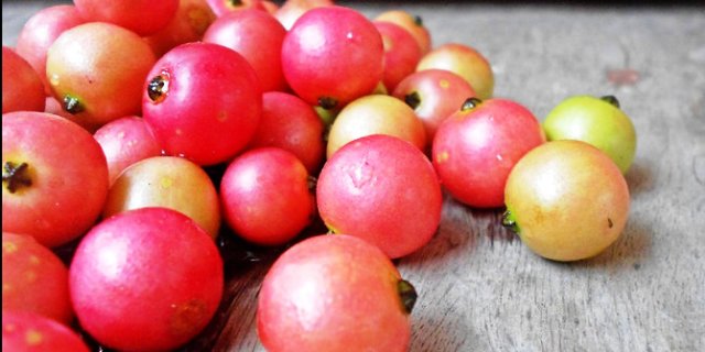 Manfaat Buah Ceri