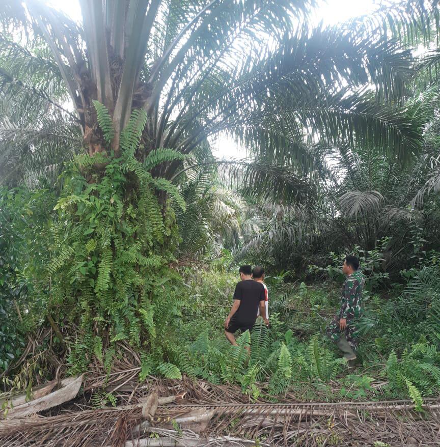 Giat Serma Novrianto Ajak Masyarakat Peduli Lingkungan