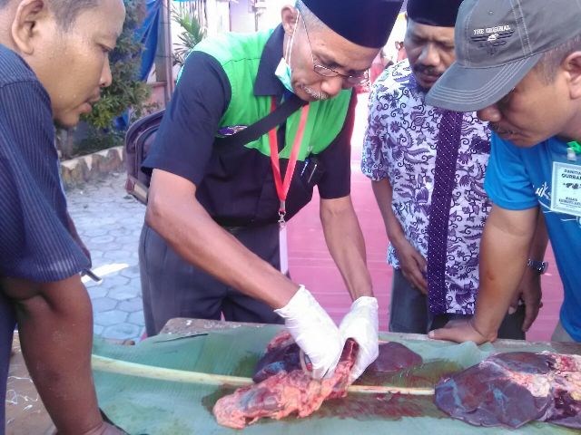 Distanakkanla Siak Terapkan Anti Mortem Dan Post Mortem