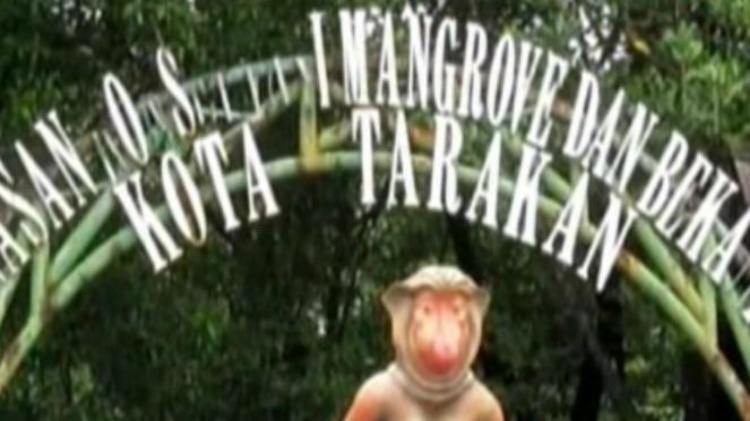 Tarakan Makin Terbuka dengan Direct Flight Hongkong