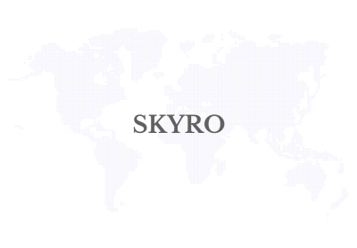 Fintech platform Skyro more than doubles loan disbursements in the Philippines in 2025