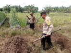 Untuk Mendukung Program Ketahanan Pangan Polsek Sungai Sembilan Siapkan Lahan Seluas Setengah Hektar