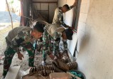 Ukir Senyum Ibu Wagini: Anggota Satgas Kebut Pembersihan dan Finishing Sebelum TMMD 129 Bojonegoro Usai