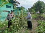 Dukung Ketahanan Pangan Nasional, Bhabinkamtibmas Dumai Barat Tinjau Kebun Gambas Warga