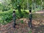Waspadai Karhutla, Babinsa Tanjung Pisang Edukasi Warga dan Pastikan Tidak Ada Titik Api maupun Asap