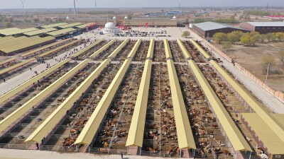 Hinggan League Agricultural, Cultural and Tourism Consumption Carnival Opens in Beijing
