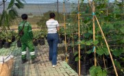 PLTU Tenayan Perkenalkan Pemanfaatan FABA kepada Puteri Indonesia Riau dalam Rangka HPN