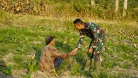 Menyapa dengan Hati di Tengah Ladang: Satgas TMMD 129 Bojonegoro Rajut Kemanunggalan TNI dan Rakyat