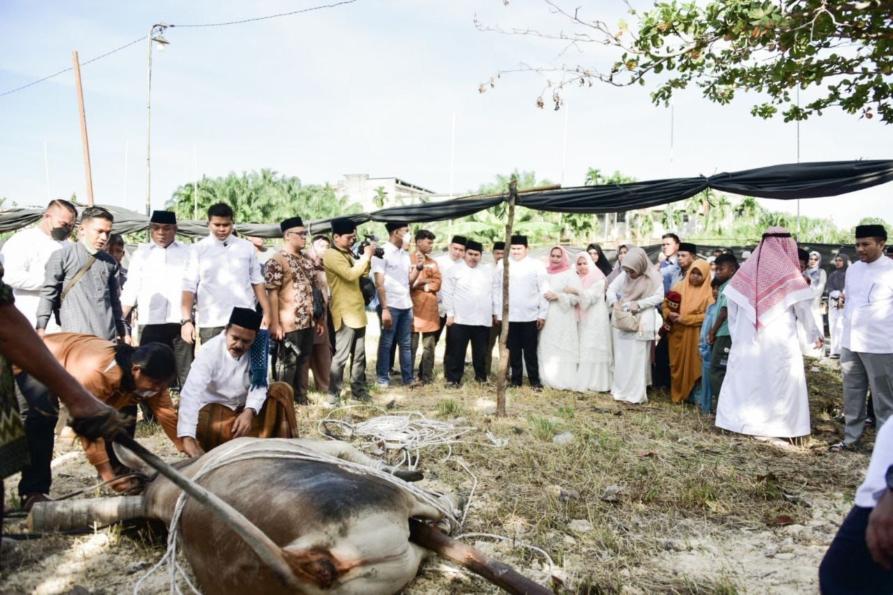Bupati Kasmarni Saksikan  Penyembelihan Hewan Kurban di Duri dan Pinggir