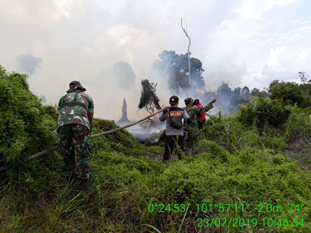 Karhutla Kembali Terjadi Tim Pemadaman Masih Dilapangan