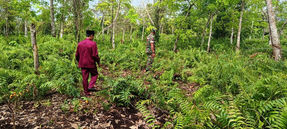 Cegah Karhutla, Babinsa Koramil 06/Merbau Patroli Rutin di Lahan Gambut Mekar Sari