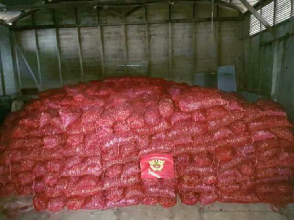 2220 Kampit Bawang Merah Ilegal Asal Malaysia Diamankan BC Bengkalis
