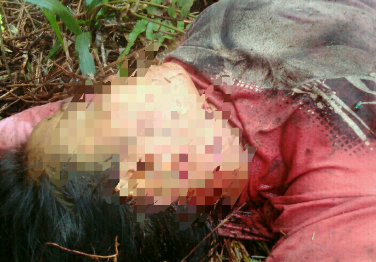 Diterkam Harimau, Karyawan PT THIP Tewas Mengenaskan