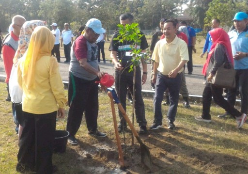 Gubri Tanam Pohon di Komplek Gedung Daerah
