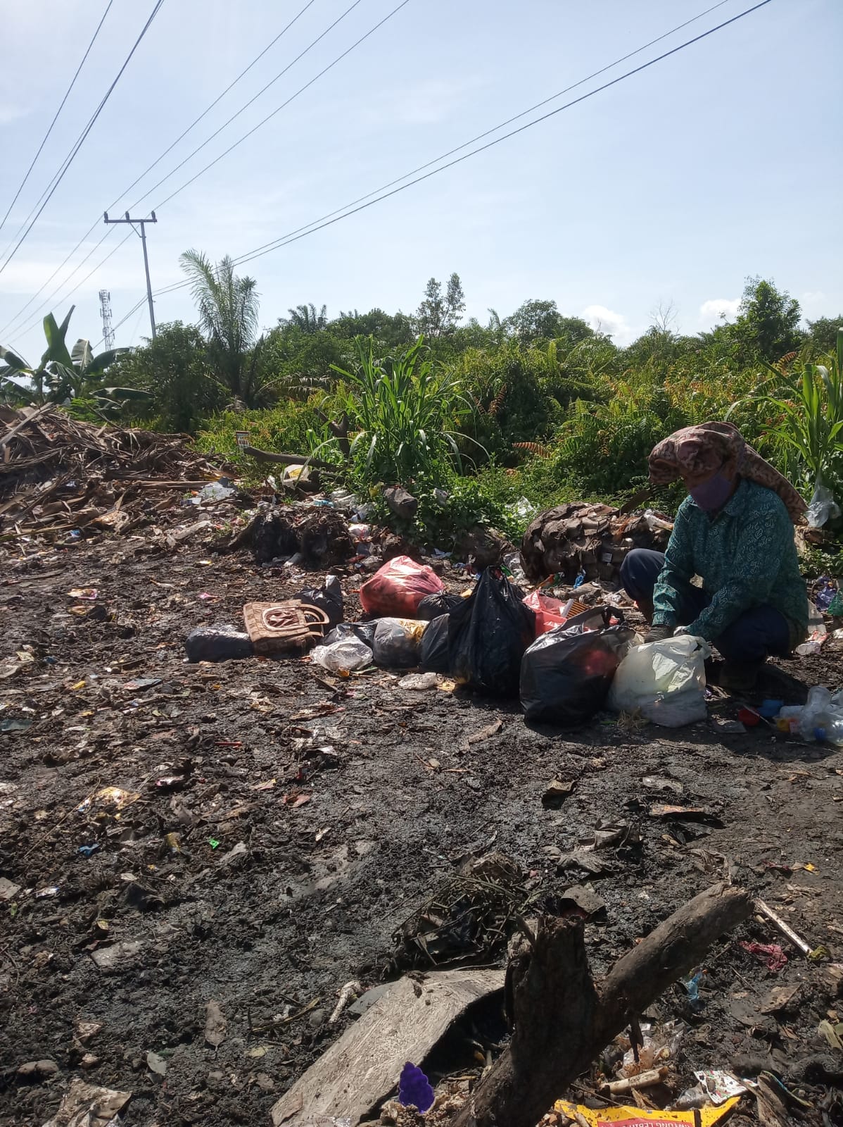 Mengais Rezeki dari Tumpukan Sampah untuk Bertahan Hidup