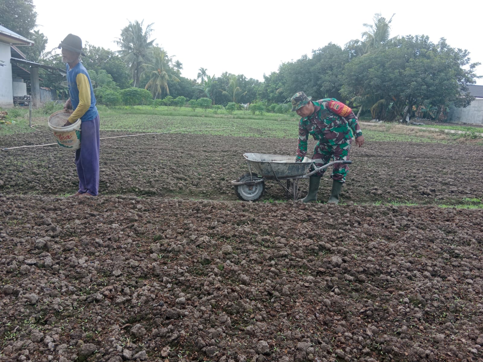 Petani Jalan Garuda Dapat Pendampingan Dari Babinsa
