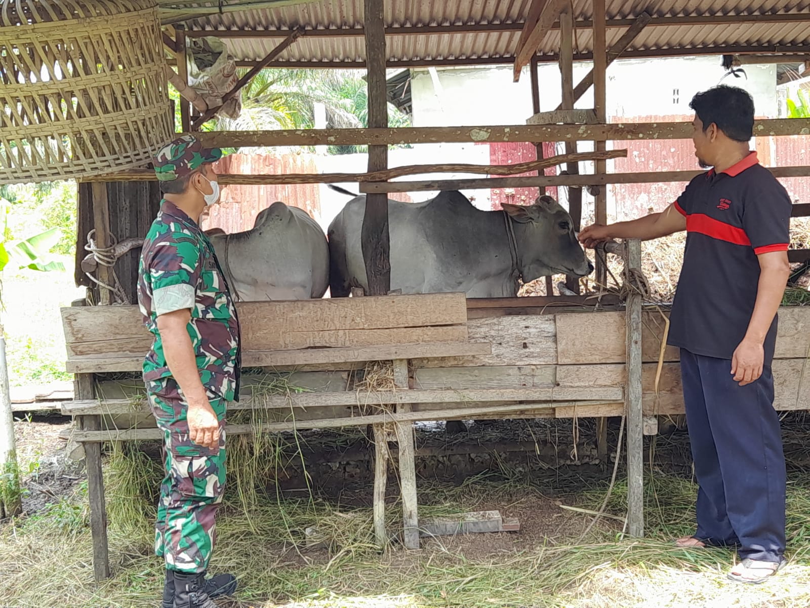 Pelda Sapi'i Memonitoring Wilayah Cegah PMK
