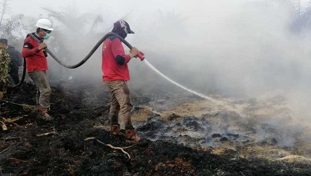Walau Berisiko, Ternyata Personel BPBD Riau Tak Diasuransikan