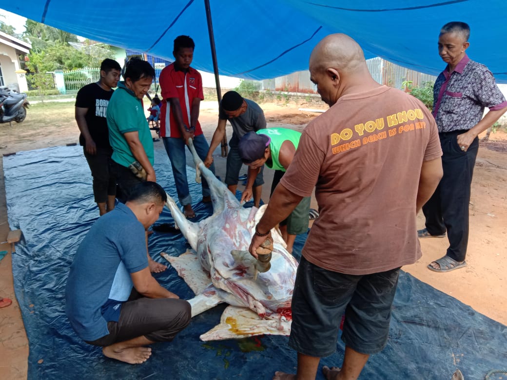 Alhamdulillah... PAGA Selesai Laksanakan Perayaan Kurban 