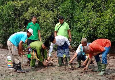 CSR PT Nagamas, Wako Dumai Ikut Tanam 1.000 Magrove