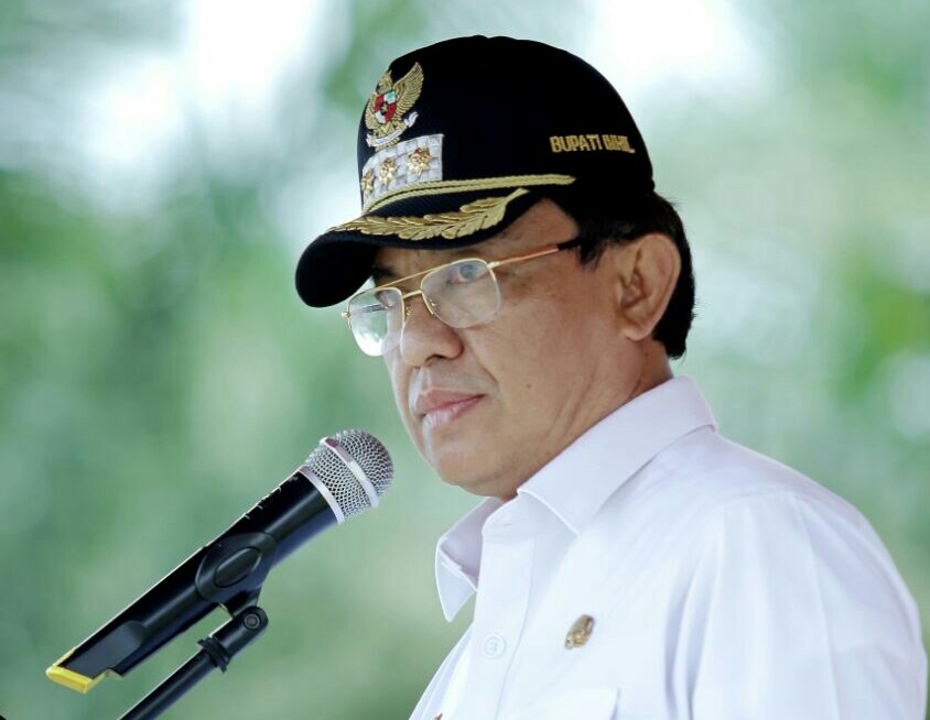 Bupati Inhil Klaim Telah Terbitkan Izin Puluhan Perusahaan Sawit