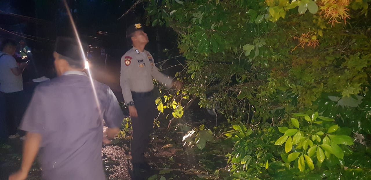Polres Tanjungpinang Lakukan Pembersihan Pohon Tumbang