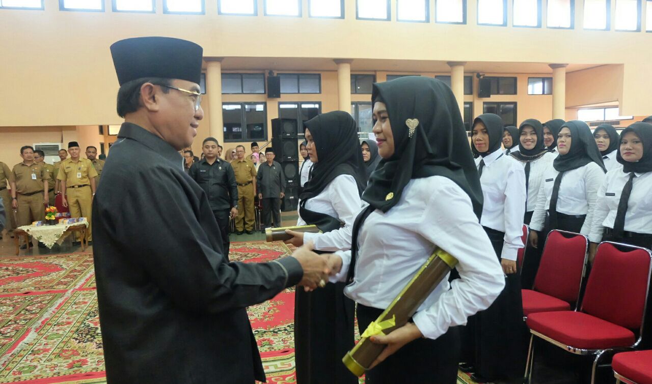 Bupati Inhil Serahkan SK CPNS PTT Kemenkes Tahun 2017