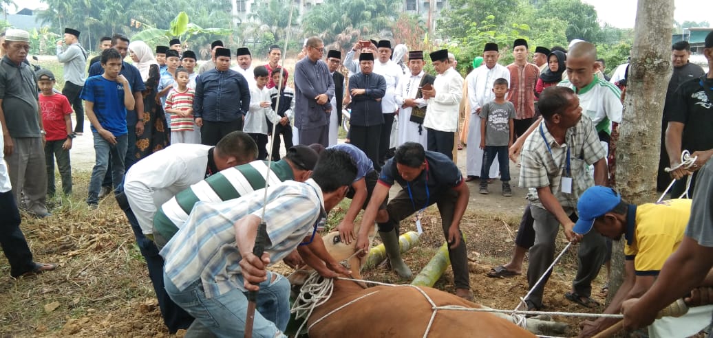 Amril: Jadikan Idul  Adha sebagai Motivasi Ikhlas dan Berjuang