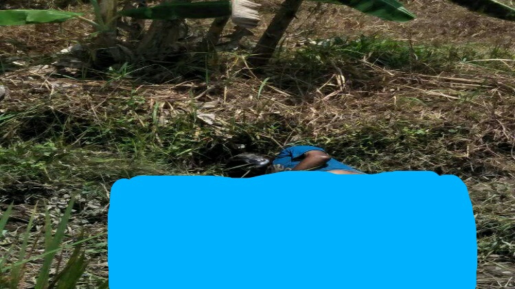 Menghilang Tiga Hari, Kakek Renta Tewas Dalam Parit