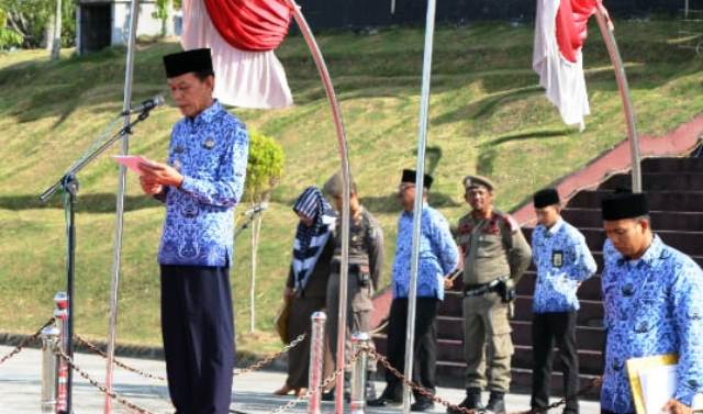 Peringati Hari Otonomi Daerah, Ini Pesan Mendagri Melalui Wabup Pelalawan Zardewan