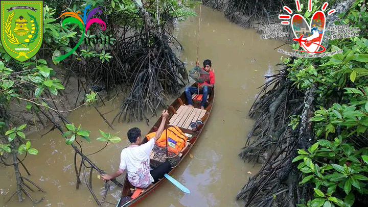 Mangrove Inhil Memiliki Potensi Wisata Alam Paling Hebat