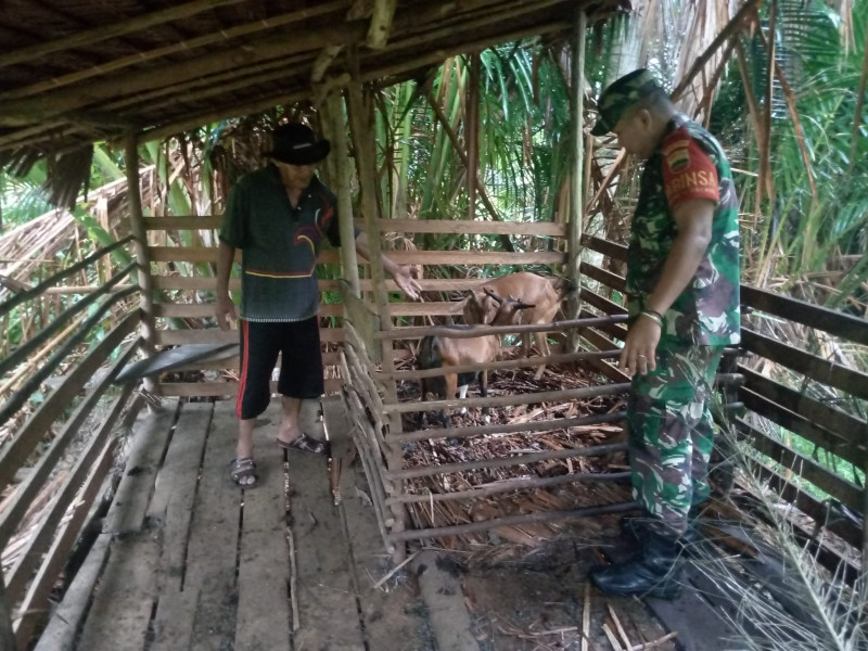 Giat Rutin Serda Ade D Purba Cegah PMK