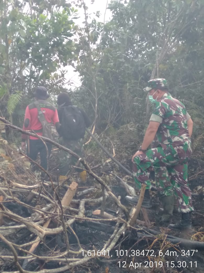 Dandim 0320/Dumai Meninjau Proses Pemadaman Hutan dan Lahan