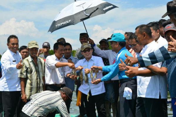 Zul AS Ikut Panen Perdana Udang Vaname di Sungai Sembilan
