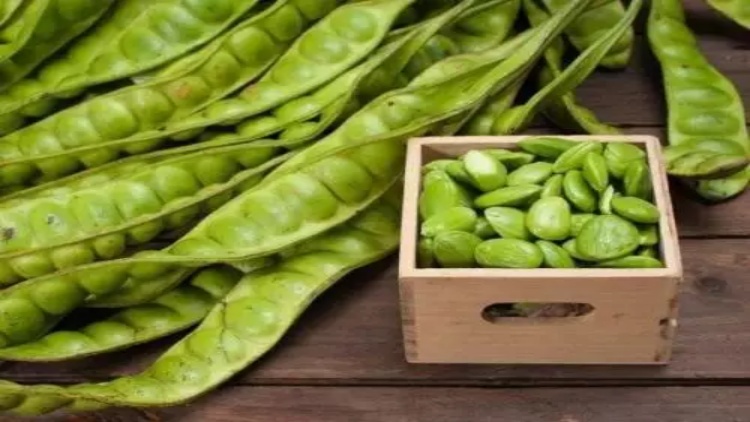 Meski Lezat, Ini 5 Bahaya Akibat Sering Makan Petai