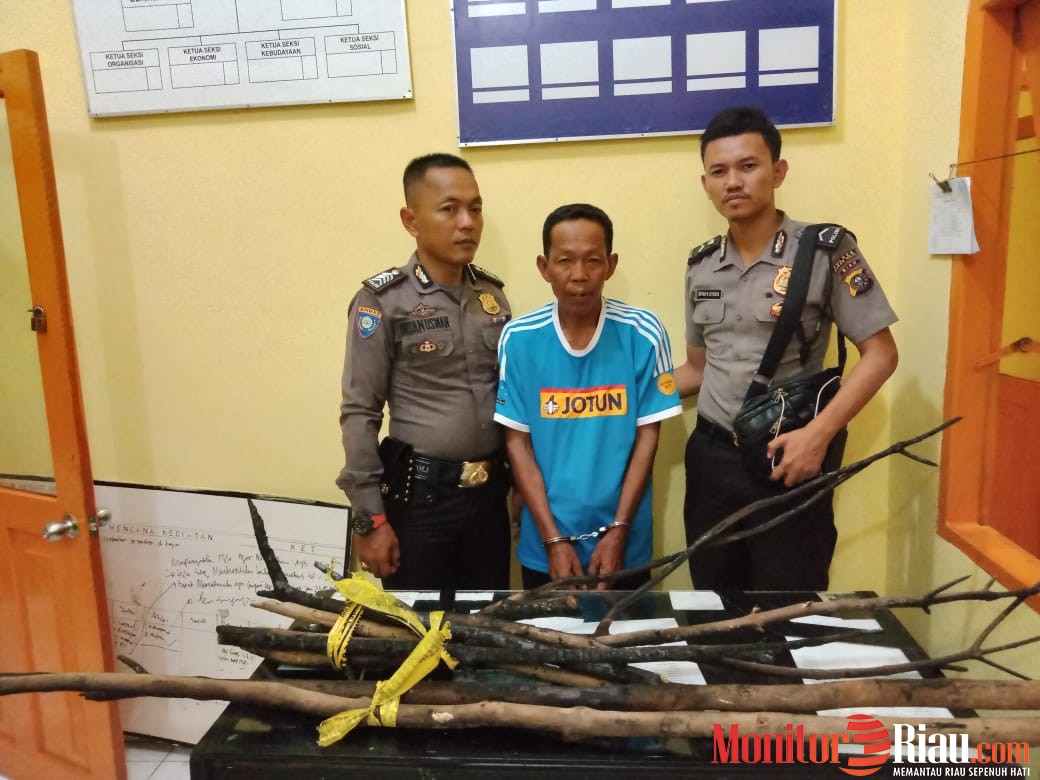 Dalam Sehari, Polres Rohil Tangkap 3 Pelaku Pembakaran Lahan