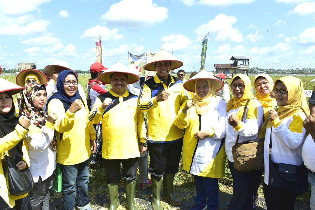 Bupati Amril Mukminin Hadiri Acara Panen Raya di Desa Harapan Baru