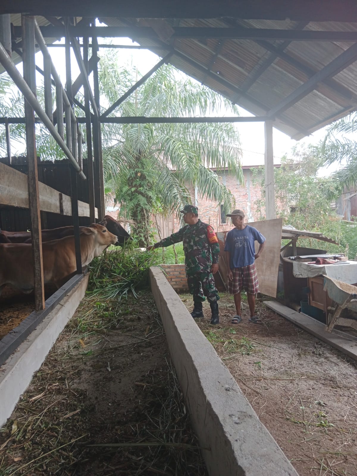 Giat Pelaksanaan Pencegahan PMK Oleh Sertu Mahyudin