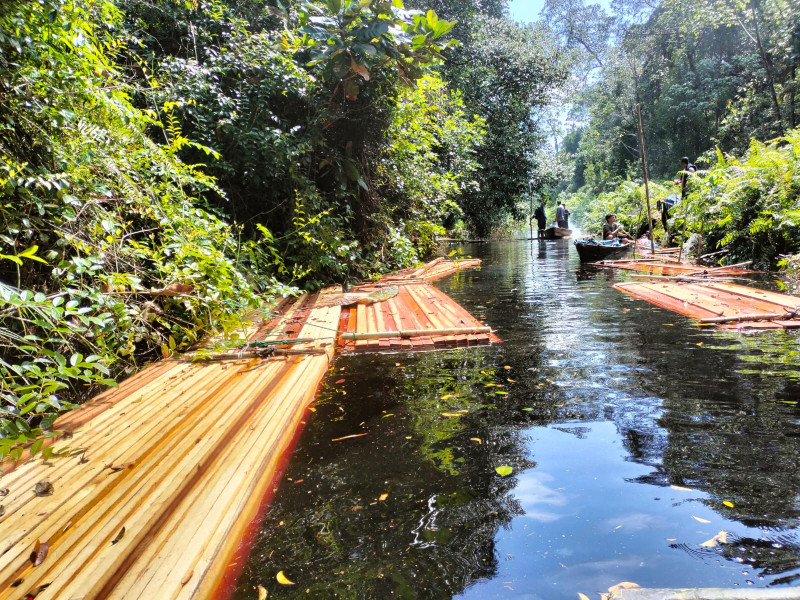Polsek Bukit Batu berhasil bekuk 5 pelaku pembalakan liar/Ilegal Logging di areal Konsesi Hutan Lindung PT BBHA