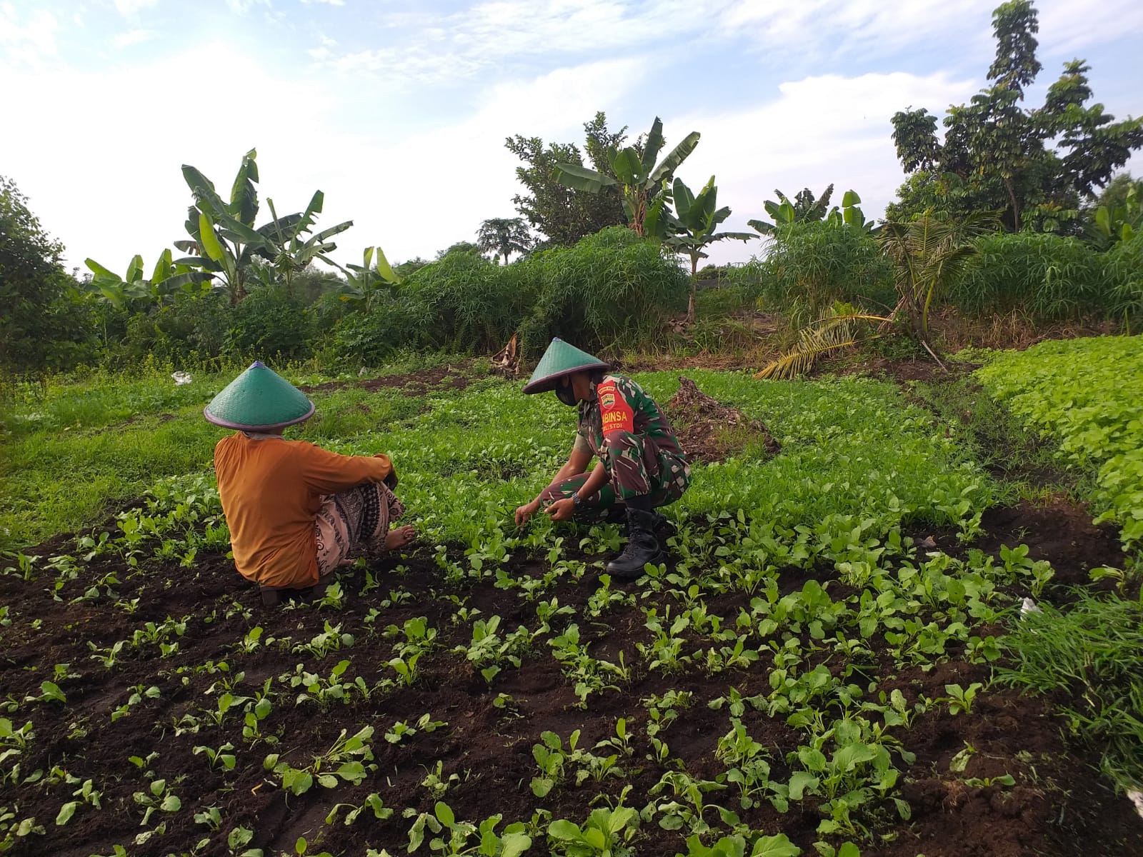 Babinsa STDI Laksanakan Pendampingan Karya Nyata