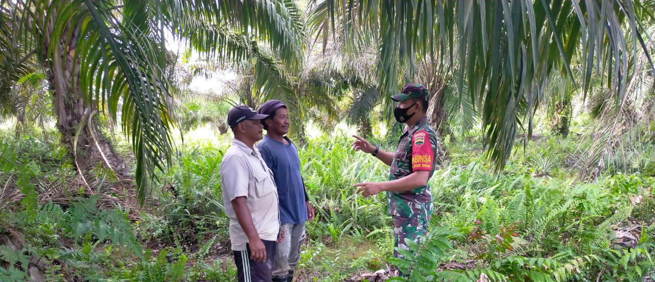 Sertu Arjuna Endar Melaksanakan Giat Sosialisasi Pencegahan Karhutla