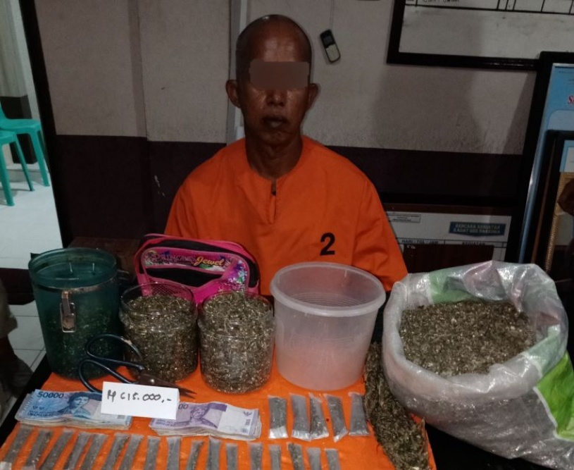 Pria Ini Nekat Semaikan Bibit Ganja