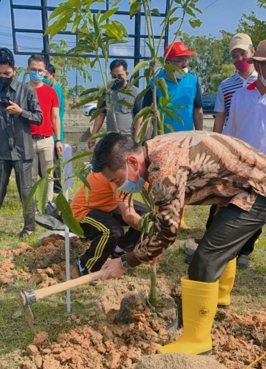 Afrizal Sintong Tanam Pohon dan Sebar Benih Ikan Nila di Belakang Kantor Bupati