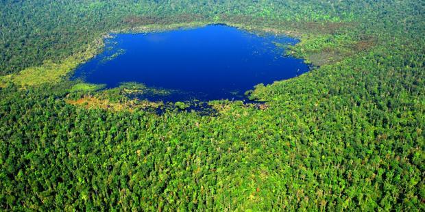 500 Hektar Lahan TNTN Riau Disita Jaksa